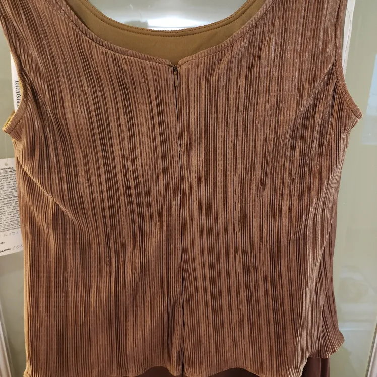 David's Bridal Brown Dress image indicator(4)