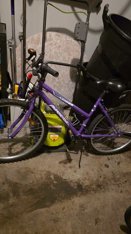 Supercycle CM1000 Purple 17" Bike - photo 3