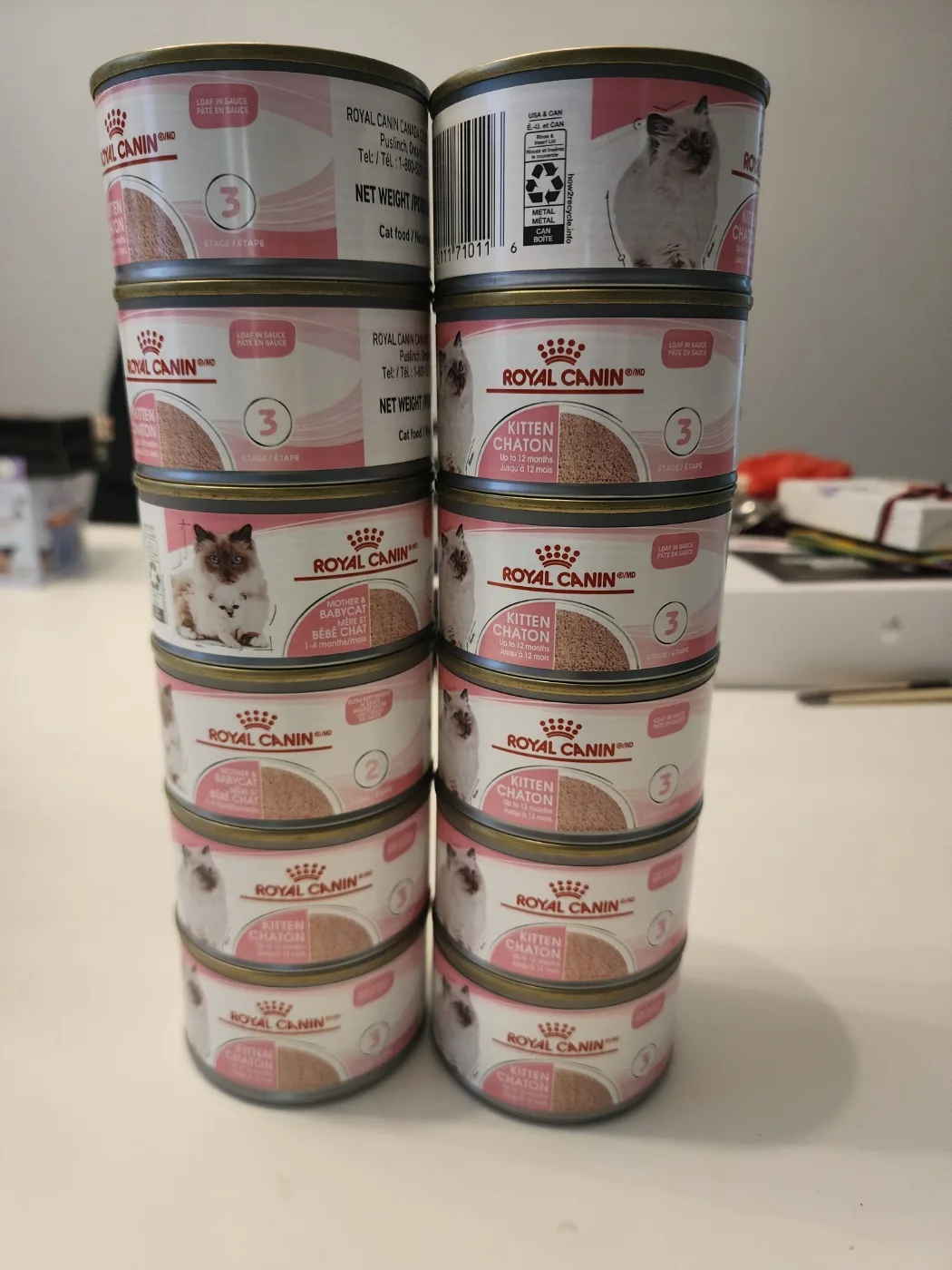 Premium Nutrition – 12 Cans of Royal Canin Kitten thumbnail