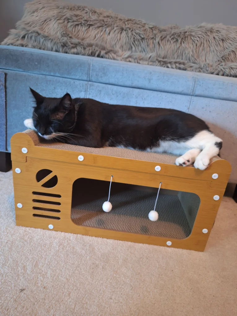 NEW Cat Scratch Villa Bed Toy 😻 thumbnail