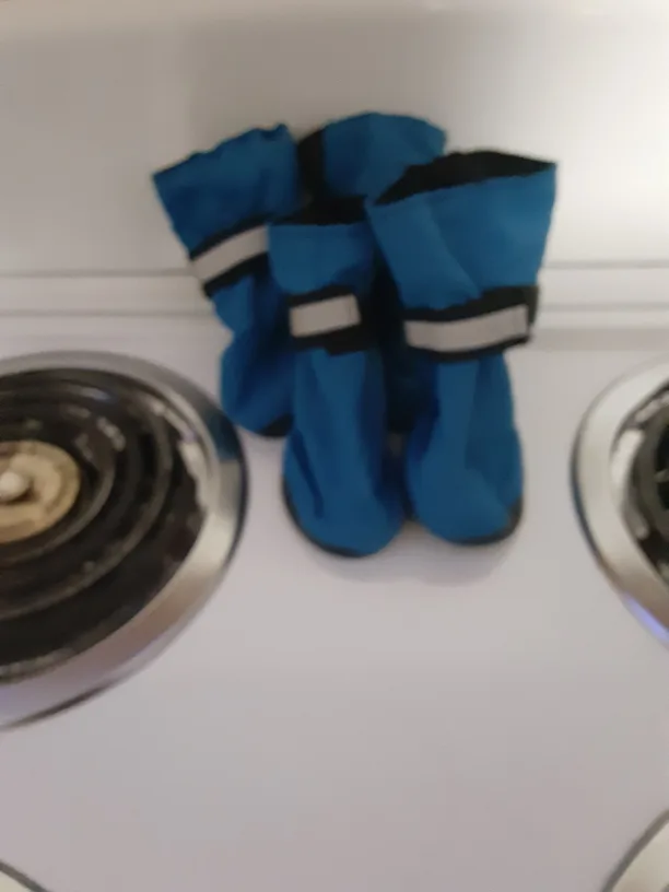 Blue Dog Boots image indicator(3)
