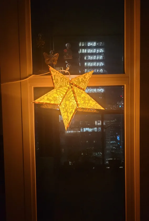 String Lights & Star Light thumbnail