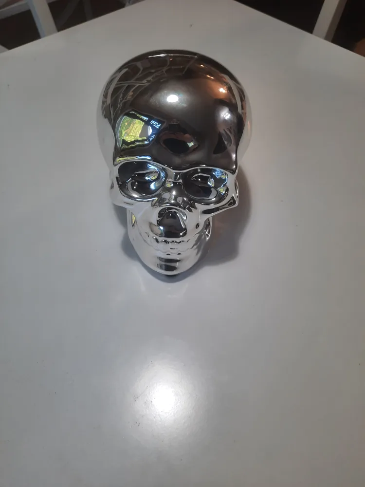 Silver Skull Decor + piggy bank thumbnail
