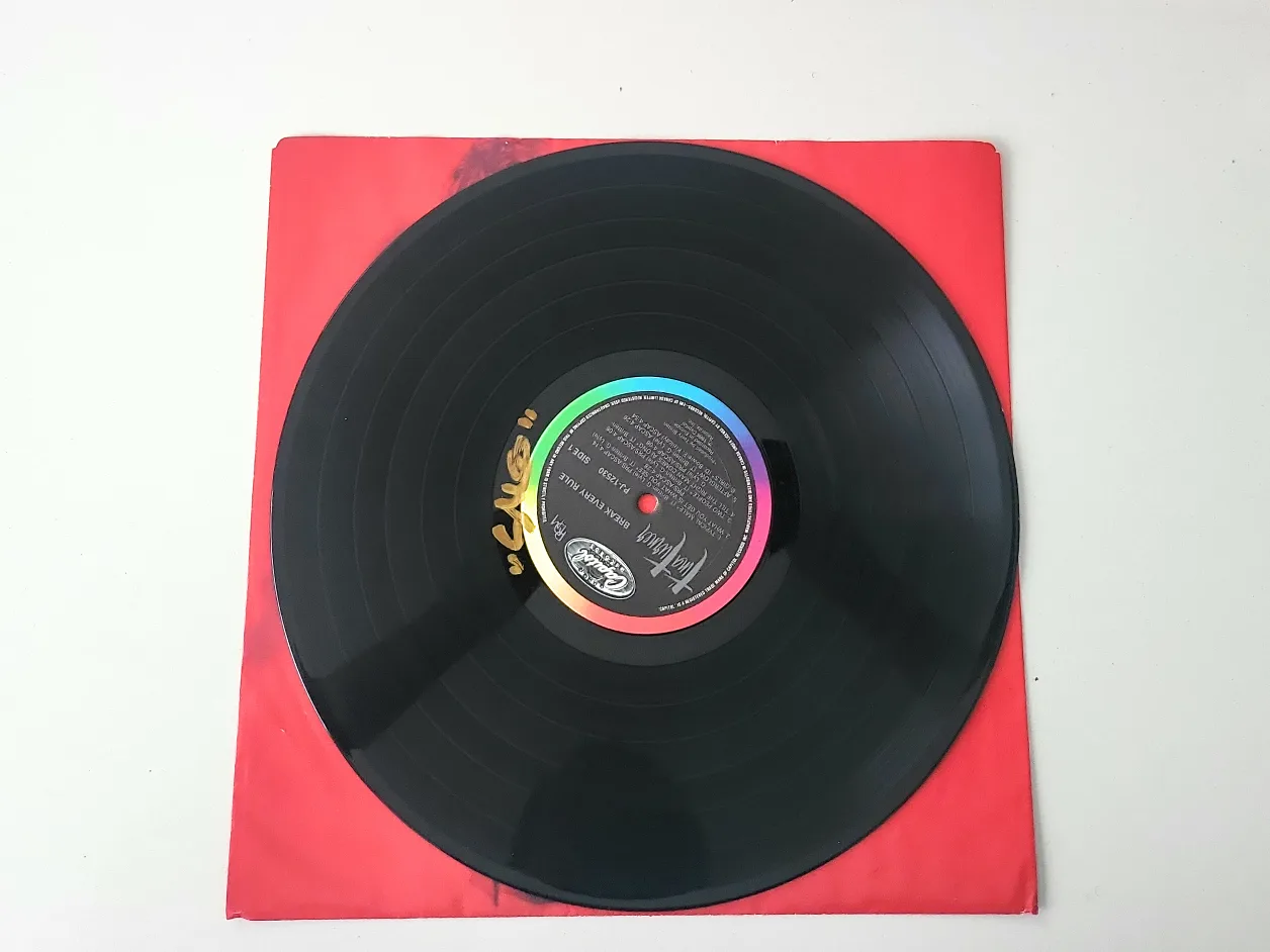 Tina Turner - Break Every Rule Vinyl Record image indicator(4)