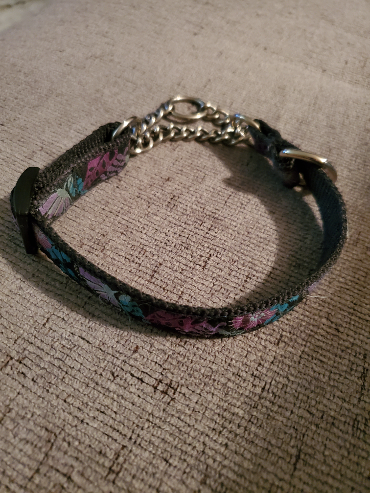 RC Pets Martingale Collar