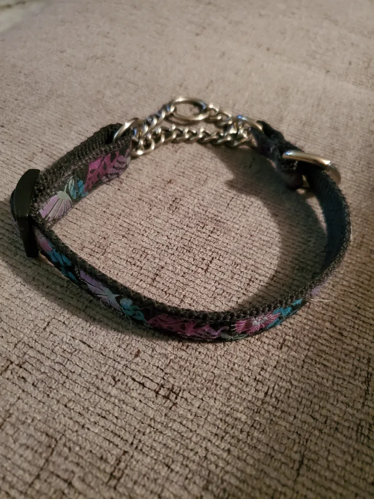 RC Pets Martingale Collar 🇨🇦 thumbnail