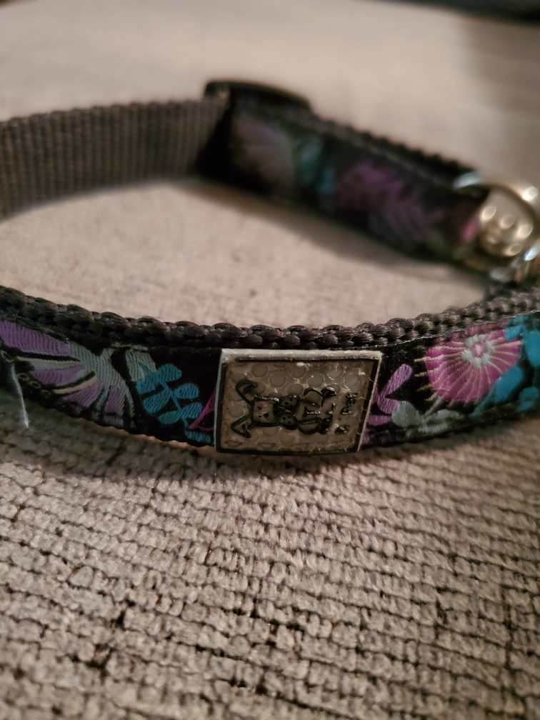 RC Pets Martingale Collar - photo 3