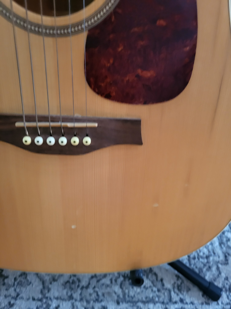 Seagull Coastline S6 Spruce Acoustic Guitar & Stand. - photo 4
