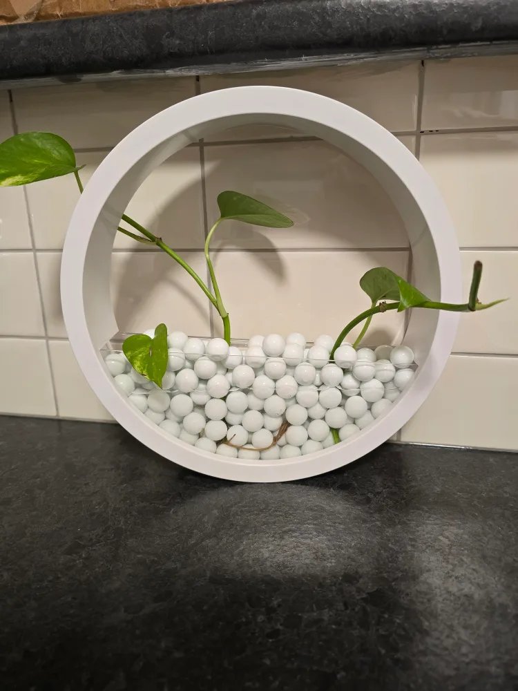 Round Wall Planter thumbnail