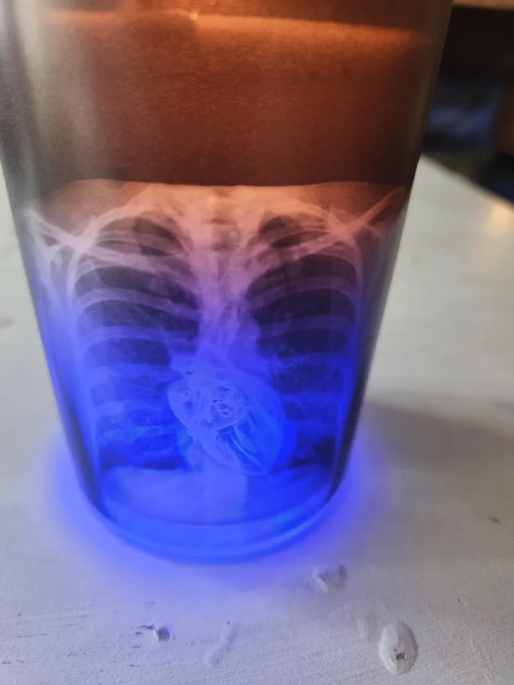 LED Light-Up X-Ray Candle image indicator(3)