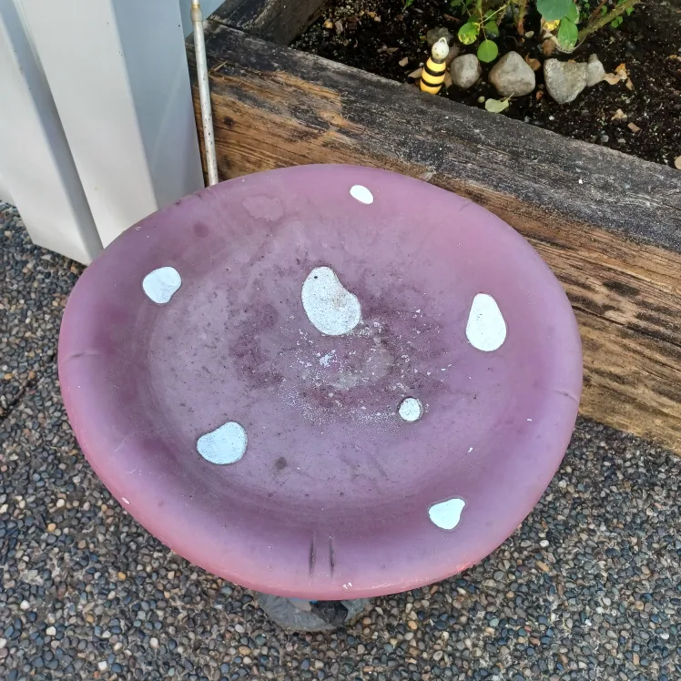 Mushroom Bird Bath Garden Decor image indicator(2)