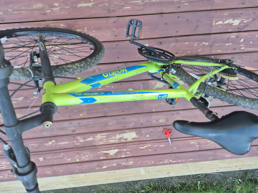 Mowelo Algonquin Bike - Green and Blue - photo 2