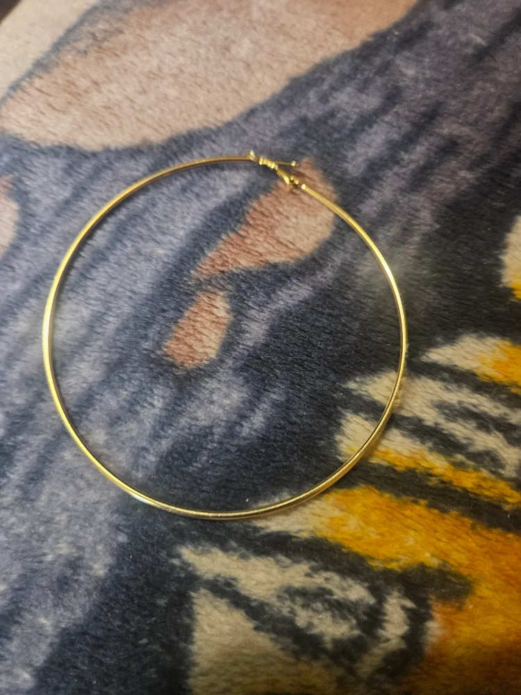 Gold Hoop Earring thumbnail