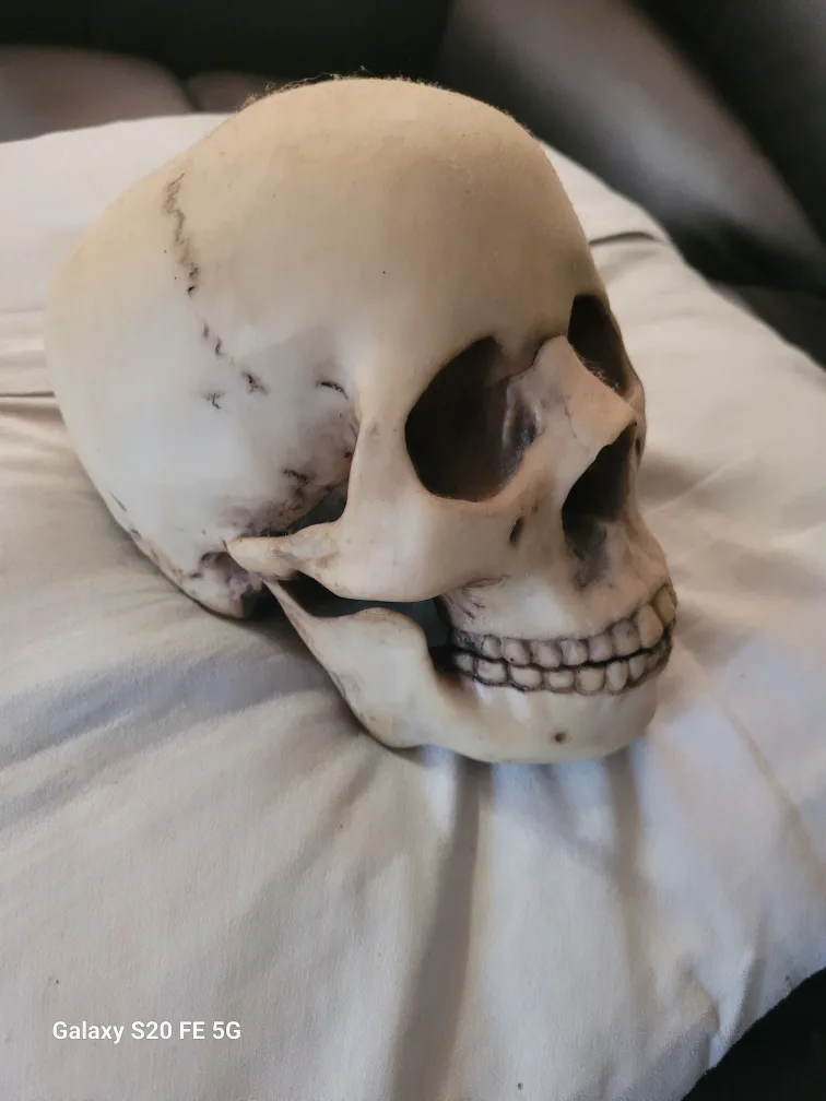 Skull Trinket Box with Dragon Design image indicator(6)