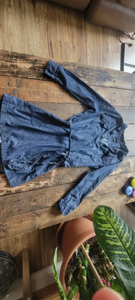 Talula Denim Dress - Size XL image indicator(2)