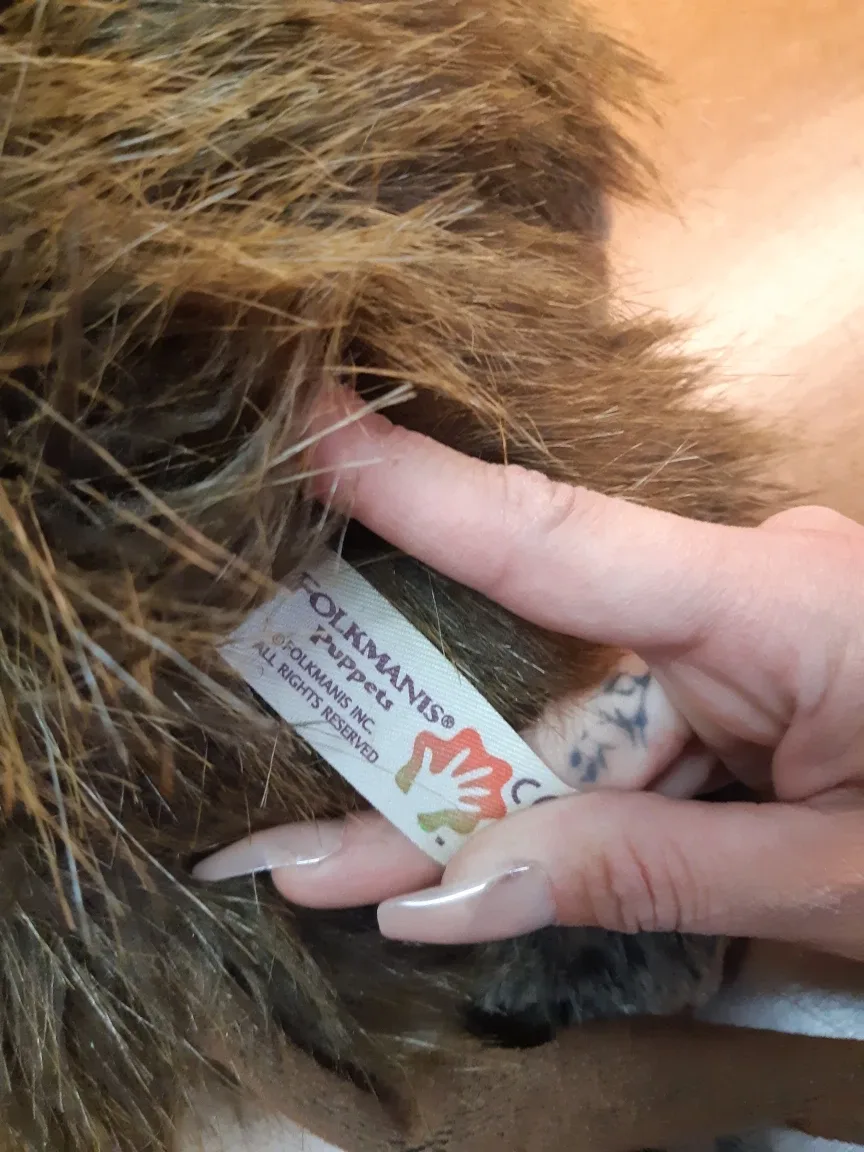 Folkmanis baboon hand puppet image indicator(3)