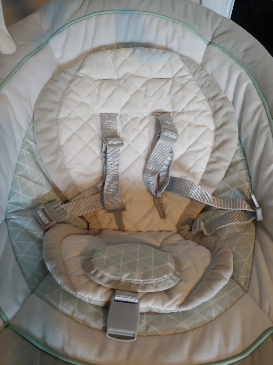 Graco Duet Glide Swing with portable rocker image indicator(5)