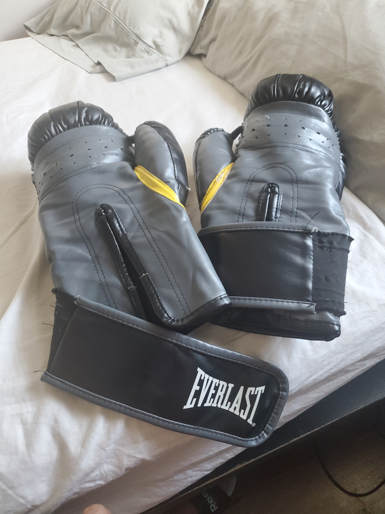 Century Punching Bag with Everlast Speed Bag & Gloves