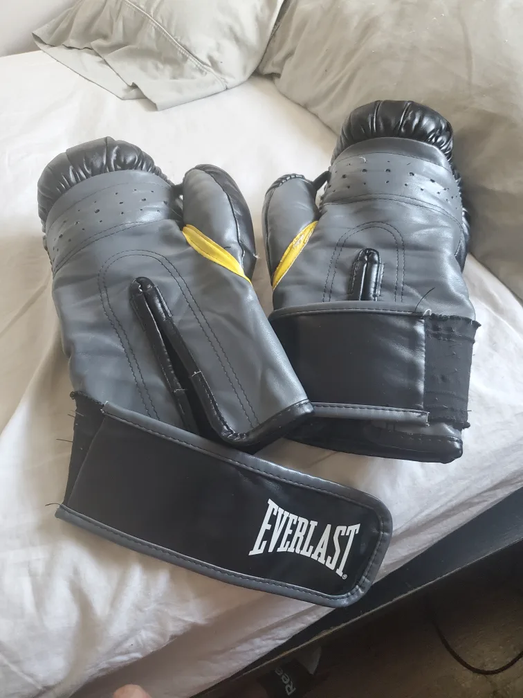 Century Punching Bag with Everlast Speed Bag & Gloves thumbnail