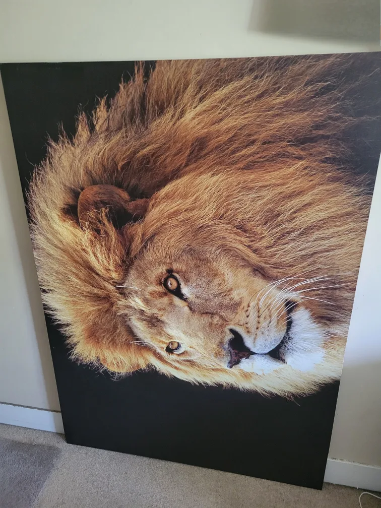 Lion Canvas Wall Art thumbnail