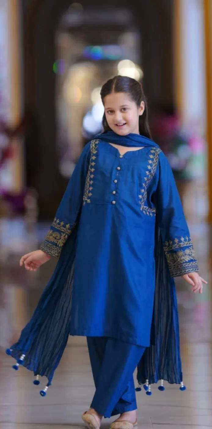 Girl's Blue Embroidered Salwar Kameez thumbnail