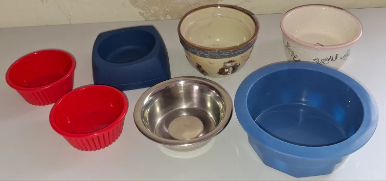 PET'S BOWL'S thumbnail