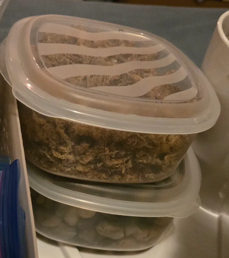 Huge lot of 🪴 houseplant 🪴 supplies! (Pots, Soil, etc.) image indicator(4)