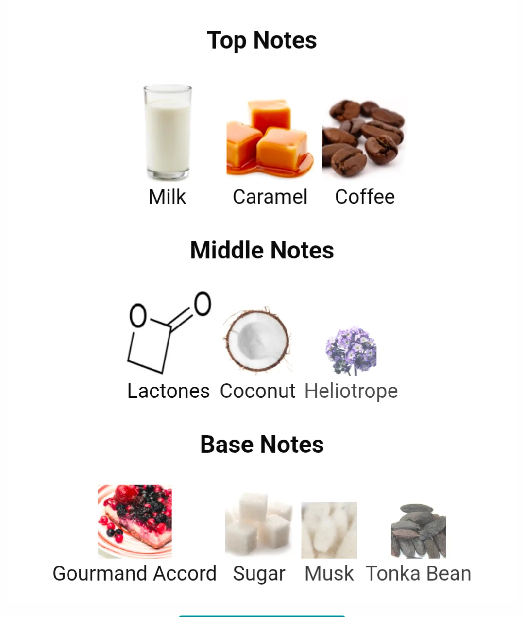 Paris corner Eternal Coffee Brown Perfume image indicator(2)