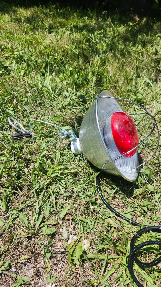 heat lamp thumbnail