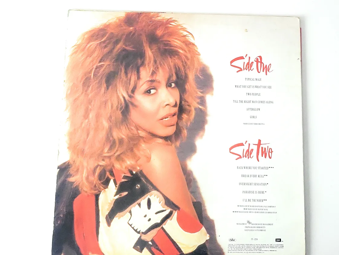 Tina Turner - Break Every Rule Vinyl Record image indicator(3)