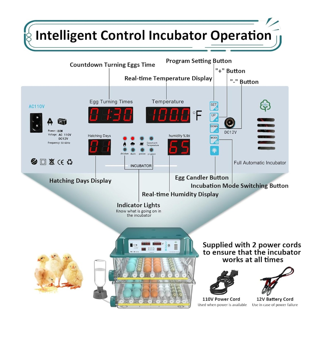 Timely Egg Lighting Incubator - photo 3