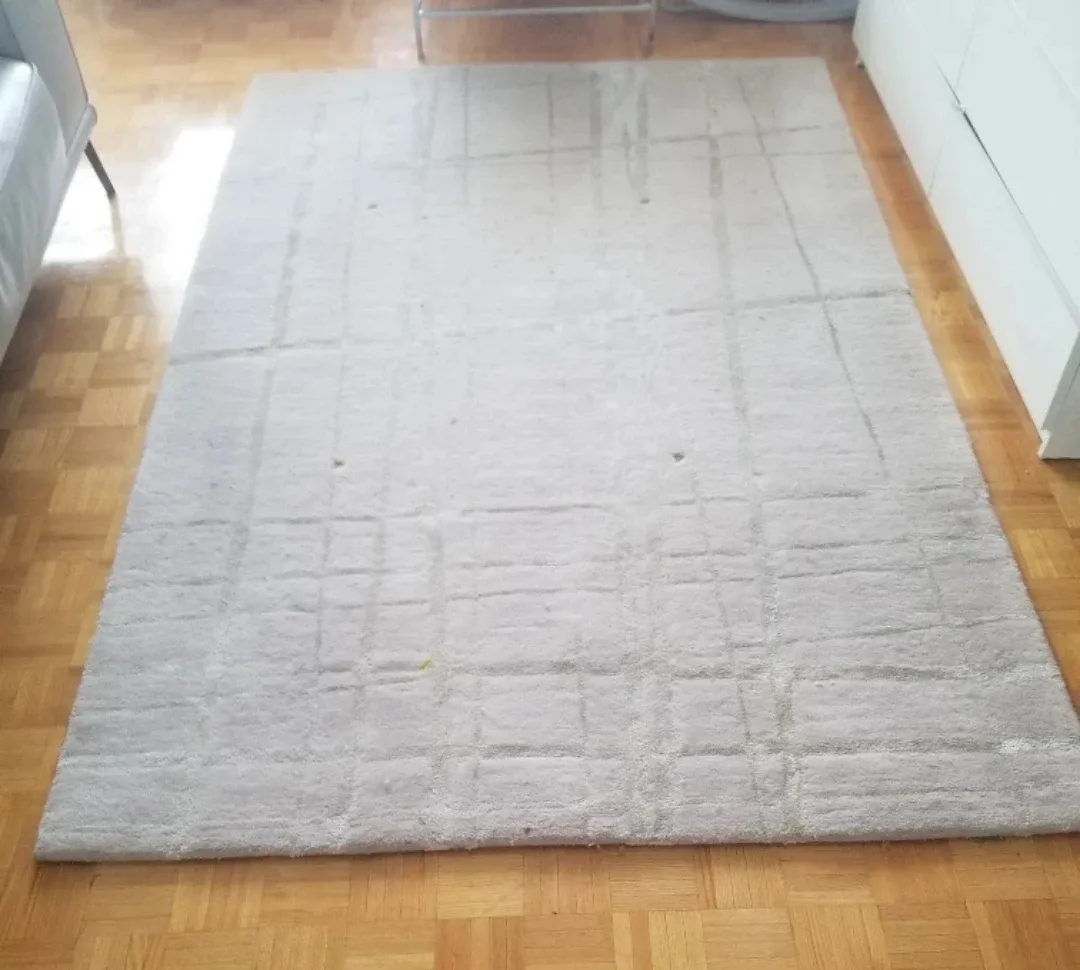 Used Beige Area Rug 5 x 8 image indicator(4)