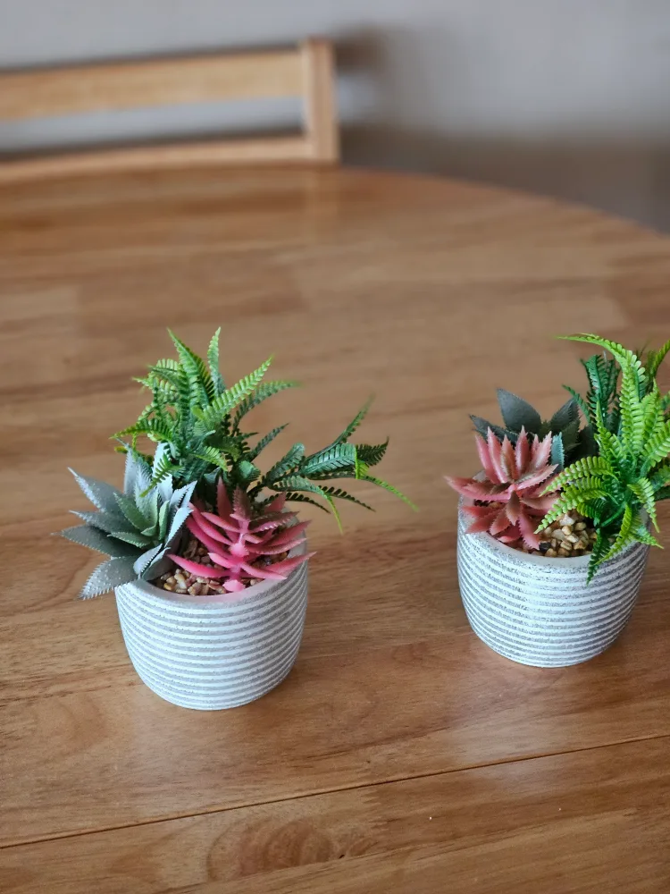 Artificial Succulent Plants (Set of 2) thumbnail