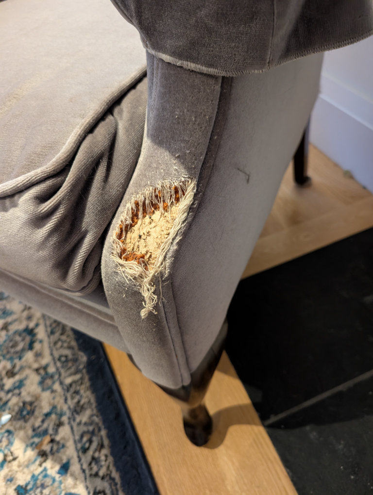 Wingback Chair - Damaged - photo 3