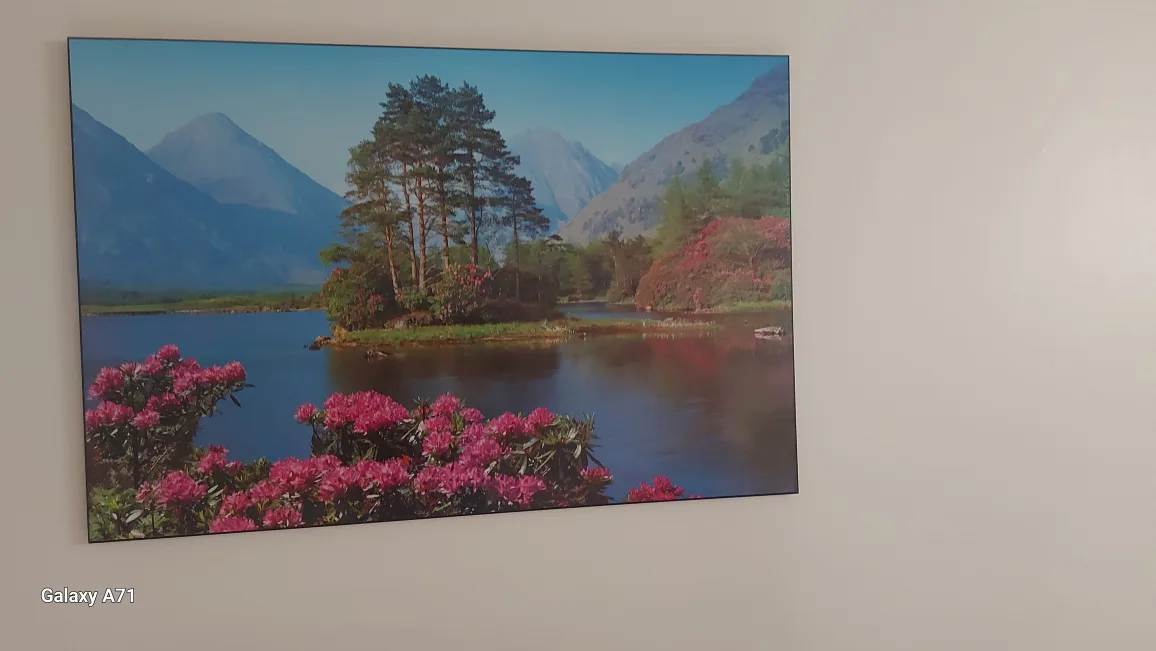 Framed Painting image indicator(2)