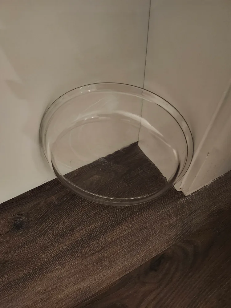 Pyrex Glass Pie Plate thumbnail