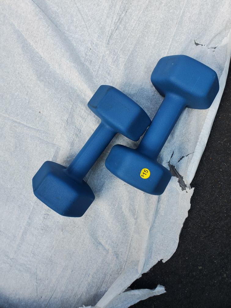 Pair of 20 lb Blue Dumbbells