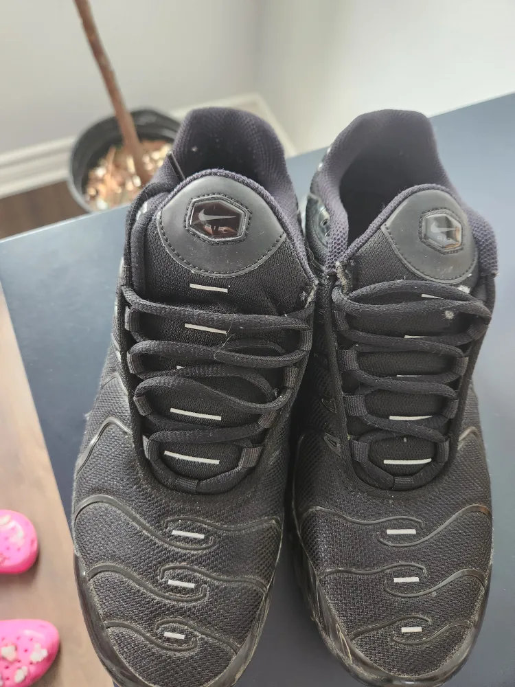 Nike Air Max Plus TN Black image indicator(2)