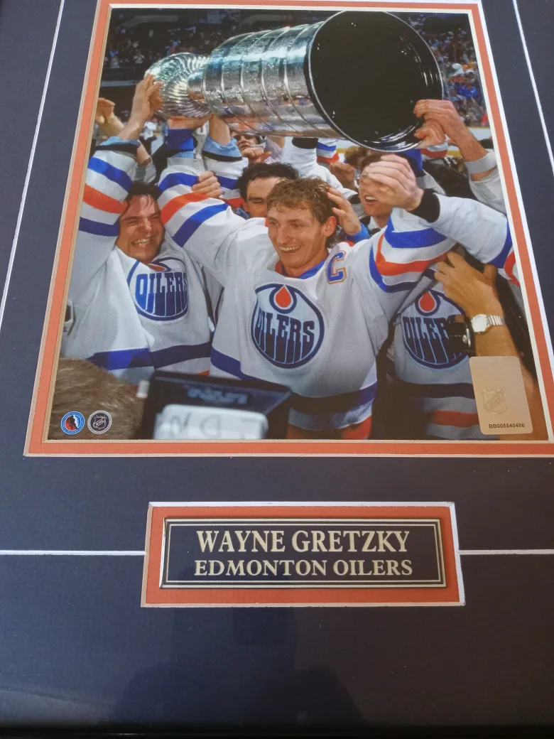 Wayne Gretzky Edmonton Oilers Framed Pictures image indicator(2)