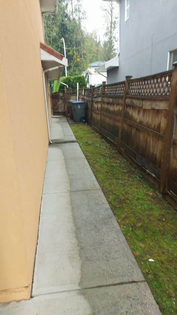 2 bedroom basement suite ground level - photo 5