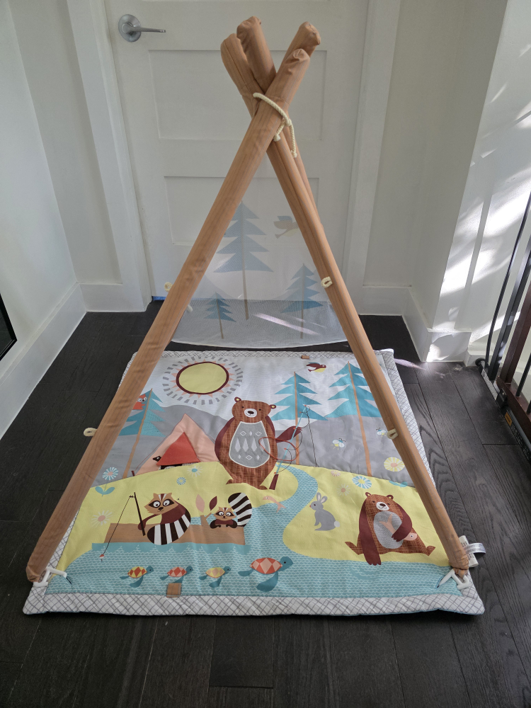 Skip Hop Camping Cubs Baby Activity Gym with Tent - photo 2