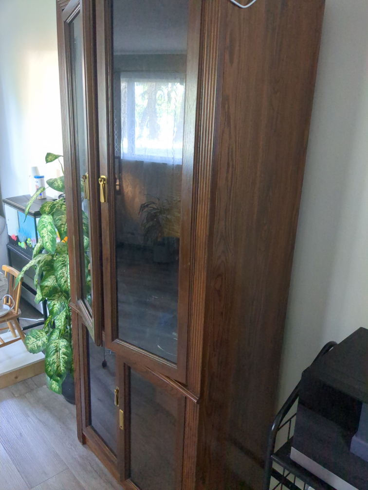 China cabinet(NEED GONE ASAP) - photo 2