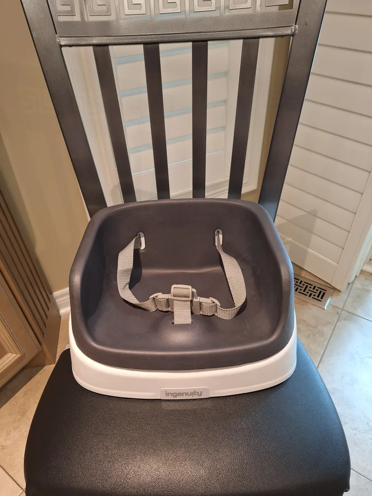Ingenuity Baby Base 2-in-1 Seat - Grey thumbnail