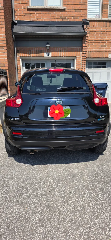 Nissan Juke 2011 image indicator(4)