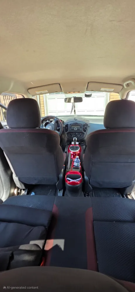 Nissan Juke 2011 image indicator(6)