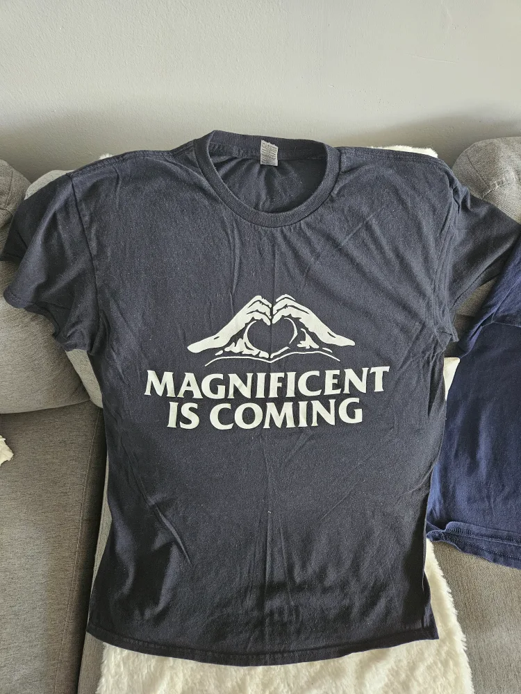 Gildan Black T-Shirt Size M image indicator(3)