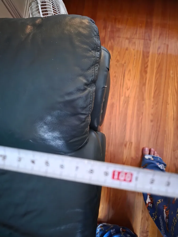 real Leather Loveseat - Green image indicator(2)