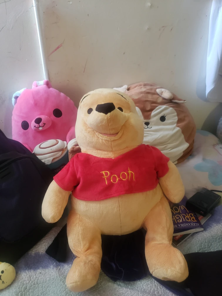 Winnie the Pooh Plush Toy - photo 5