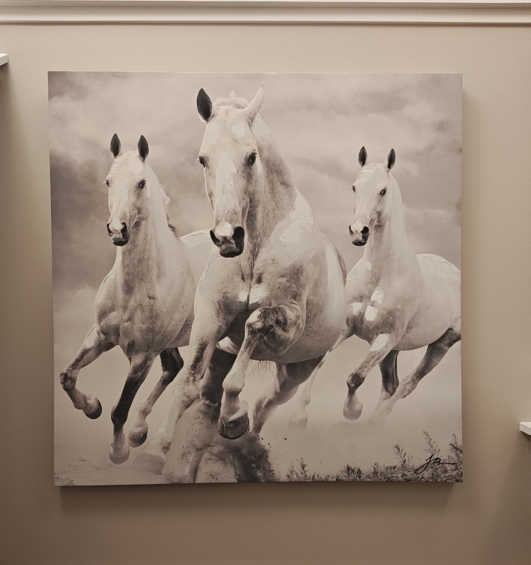 Horse Print Wall Art, 39" x 39" - photo 2