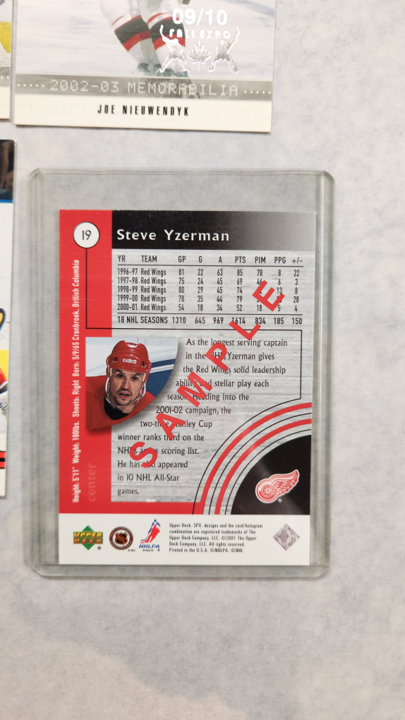 PickUp 19 early '00s #'d Hockey Cards (2x 1/1) + Sample - photo 5